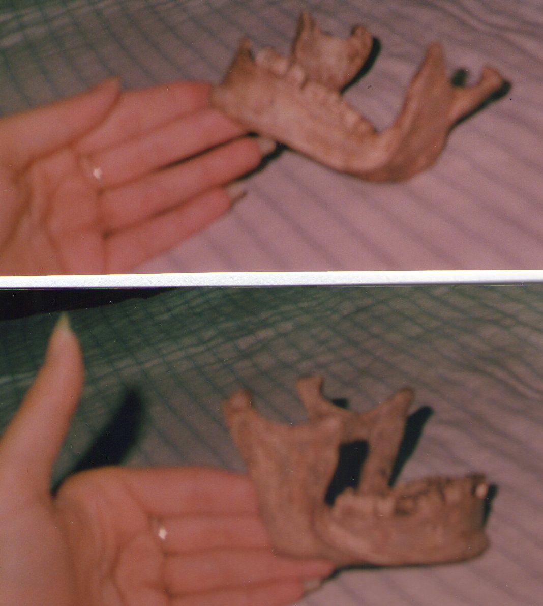 Noah Johnson Had a Whore SCR003